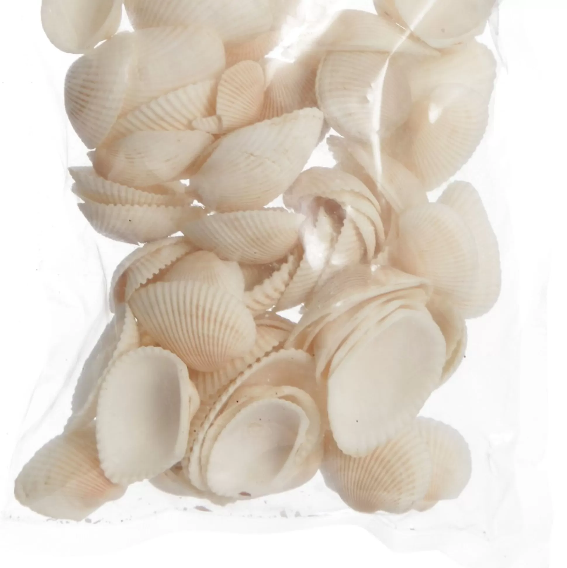 Bag of Small Clam Shells Christmas Craft Supplies |