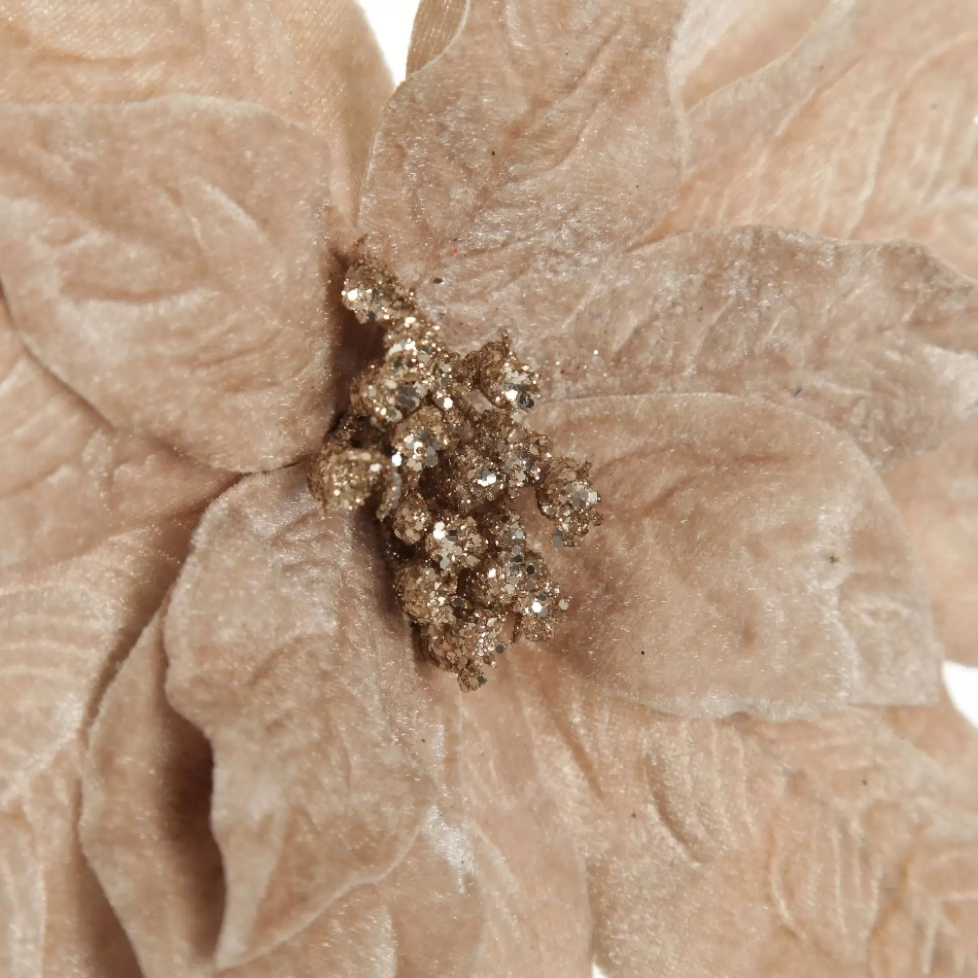 Champagne Velvet Poinsettia Flower Stem Christmas Flowers |