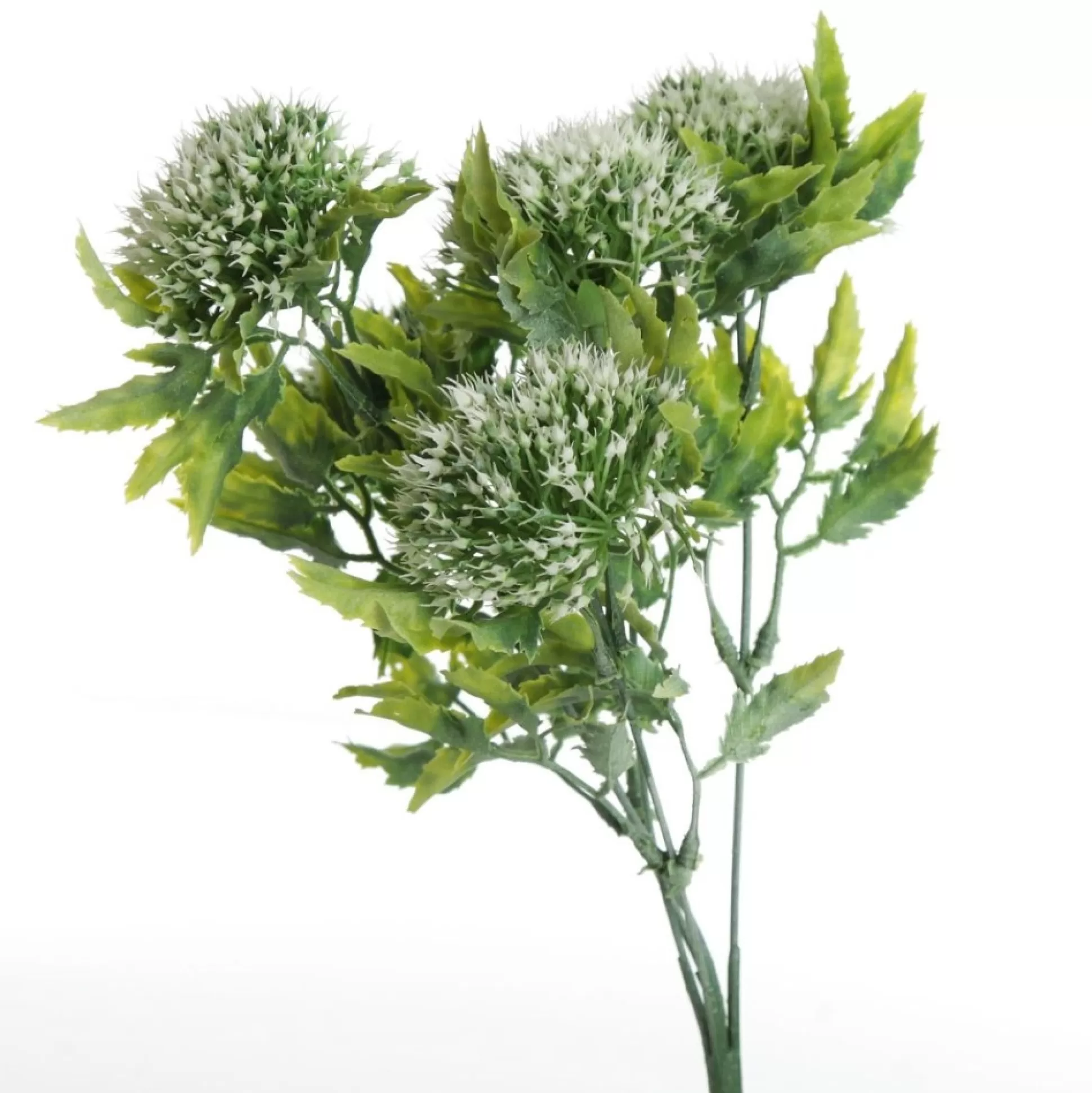 Cream Gumnut Flower Christmas Bush Spray Christmas Sprays |