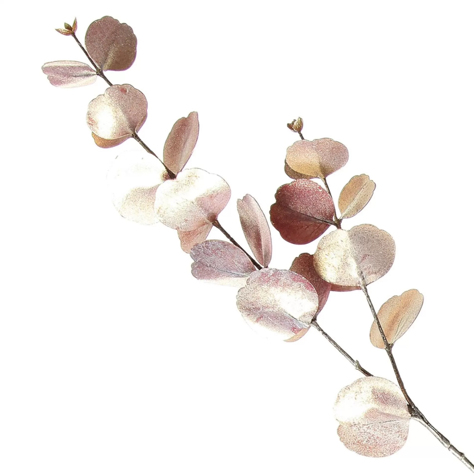 Dusky Pink Round Leaf Eucalyptus Dollar Gum Spray Christmas Sprays |
