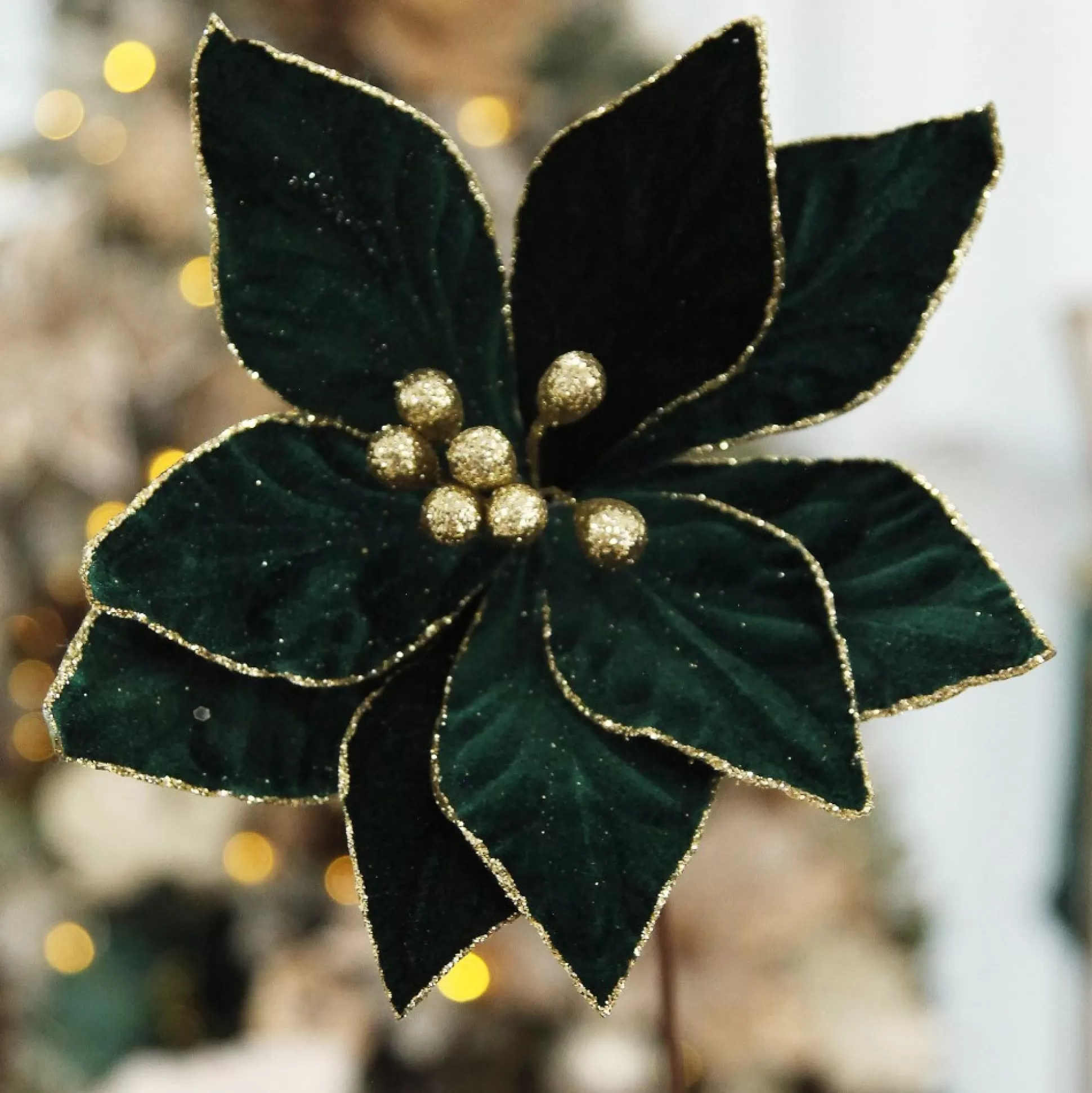 Emerald Poinsettia Flower Stem with Gold Glitter Edge Christmas Flowers |