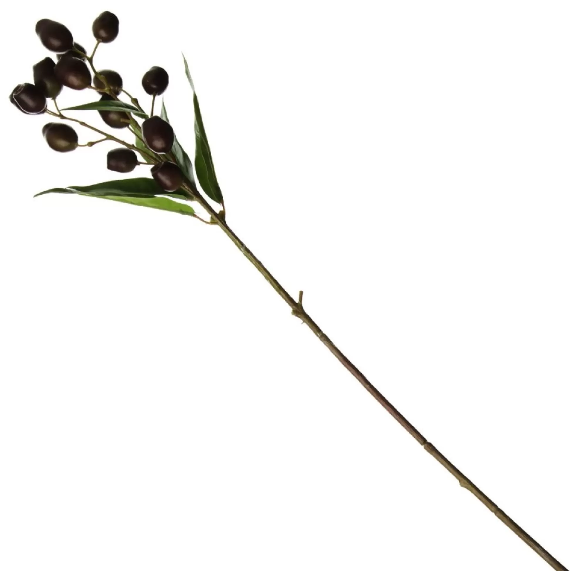 Eucalyptus Brown Gumnut Branch Spray Christmas Sprays |