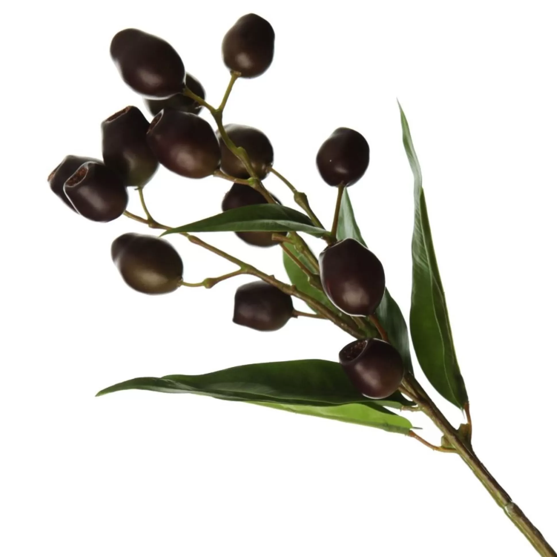 Eucalyptus Brown Gumnut Branch Spray Christmas Sprays |