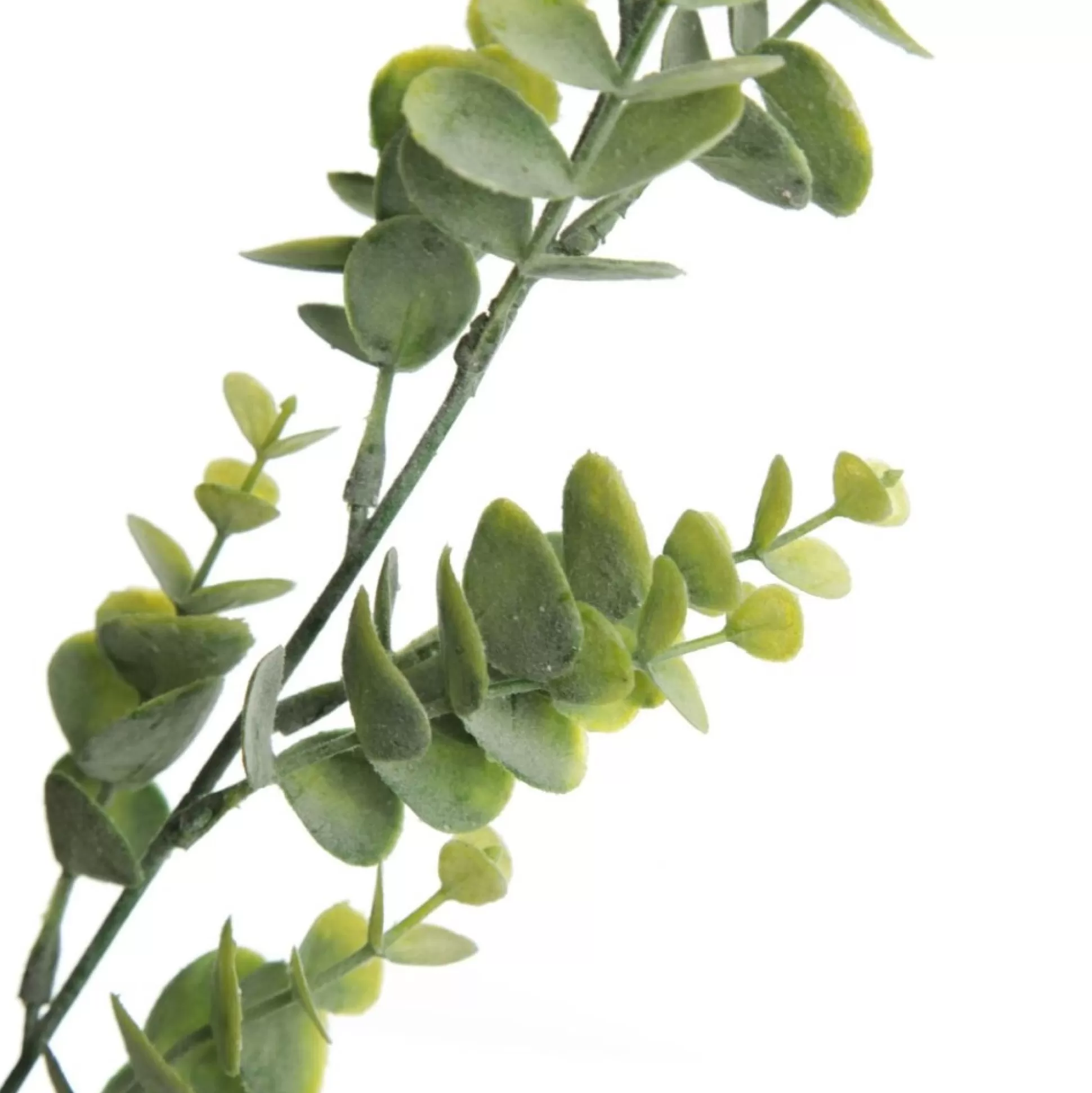 Eucalyptus Bush Spray Christmas Sprays |