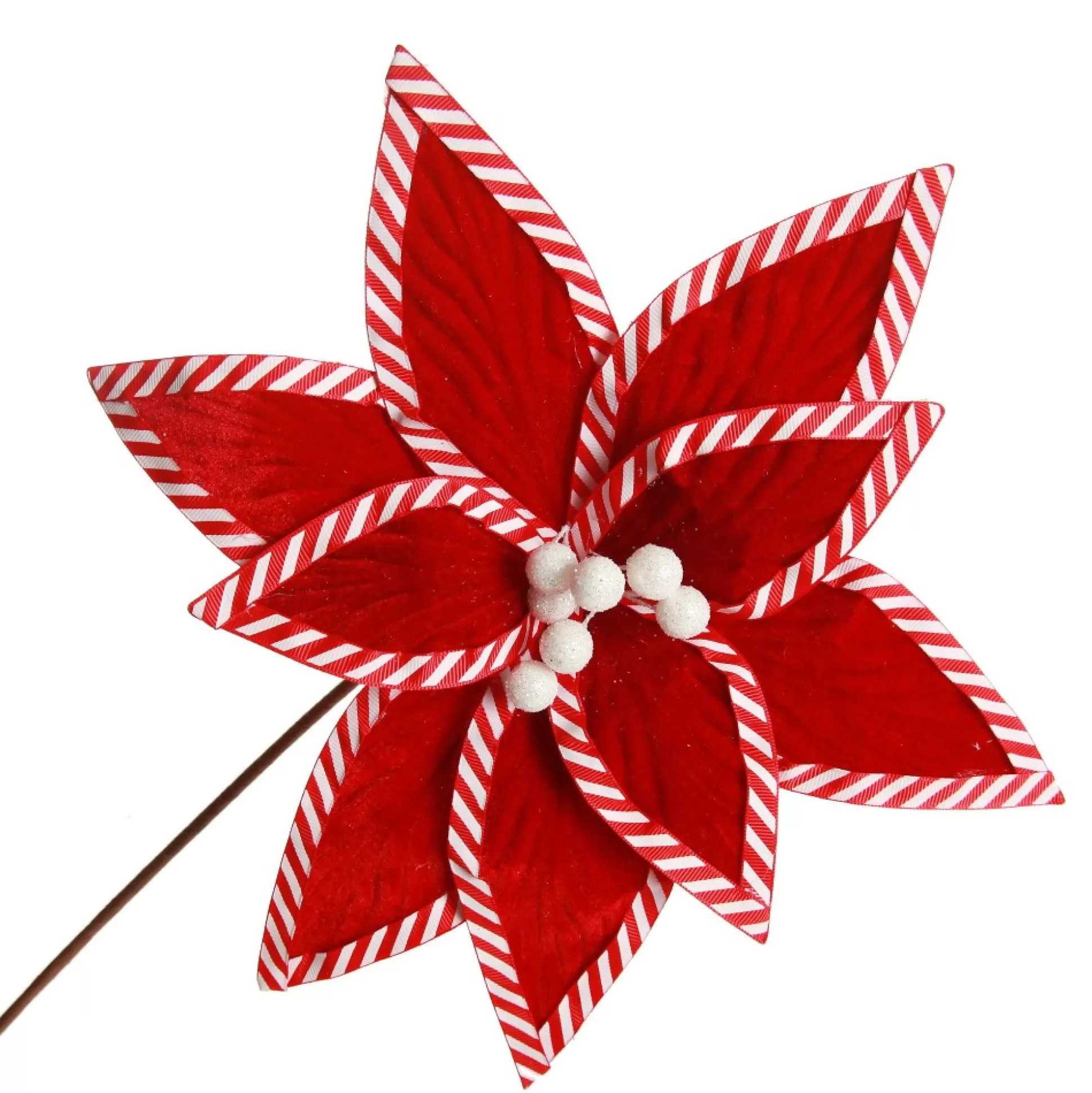 Festive Red Flower Stem with Striped Edge Christmas Flowers |