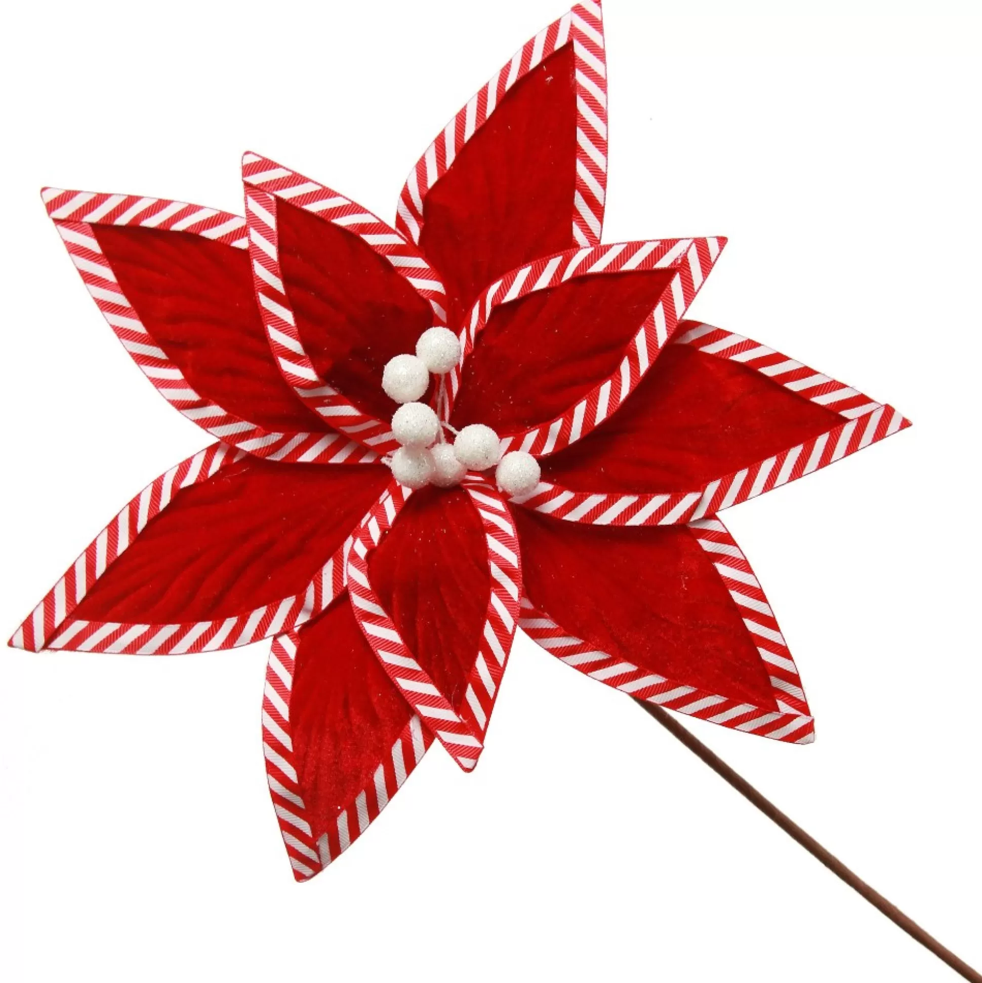 Festive Red Flower Stem with Striped Edge Christmas Flowers |
