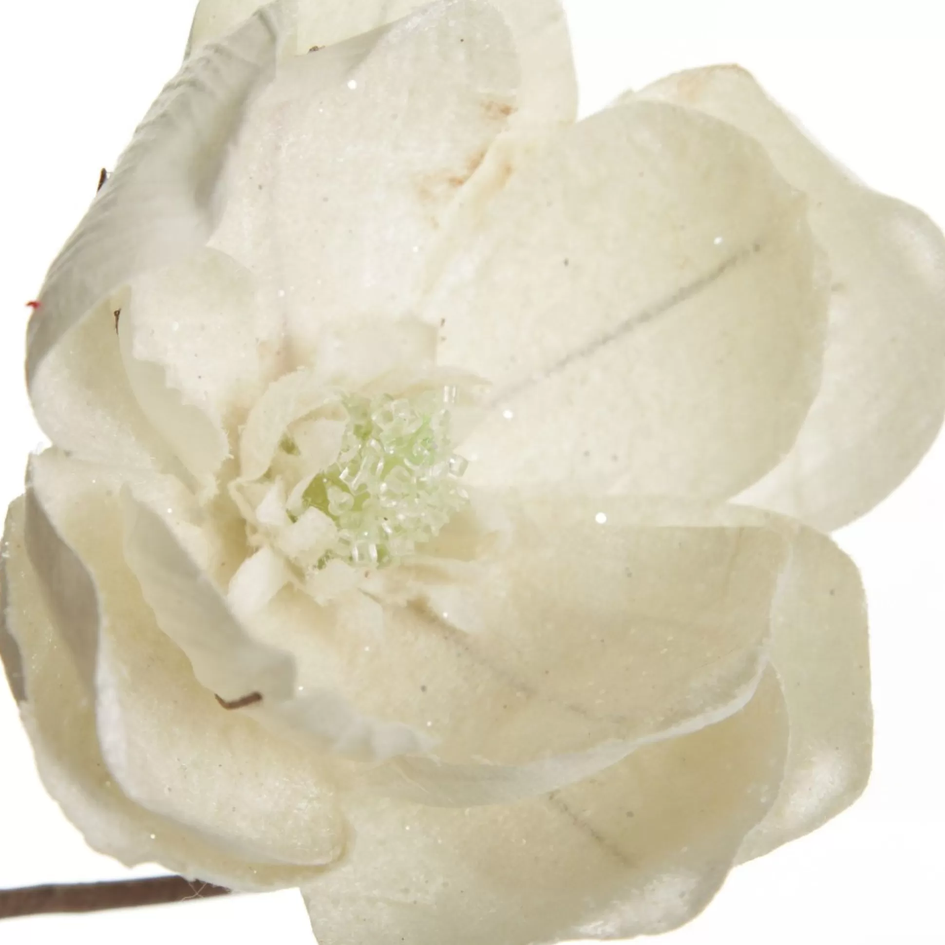 Ivory Glitter Sprinkled Magnolia Flower Clip Christmas Flowers |
