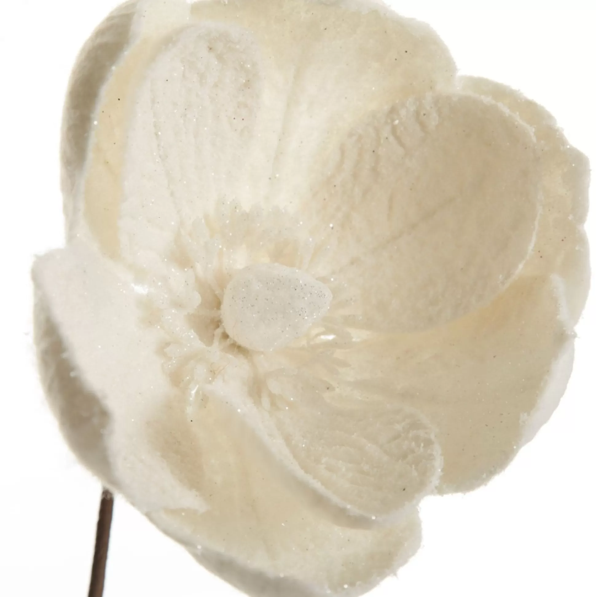 Ivory Magnolia Flower Stem Christmas Flowers |