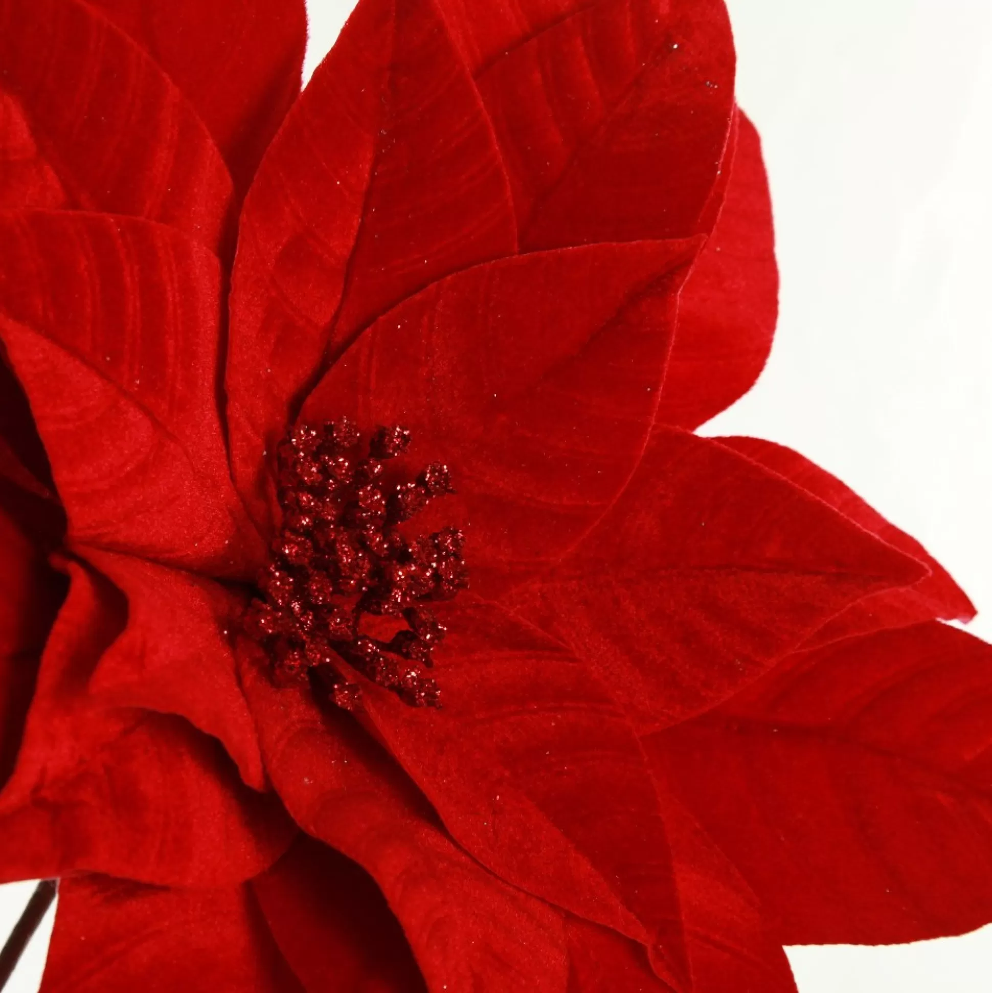 Layered Red Velvet Poinsettia Flower Stem Christmas Flowers |