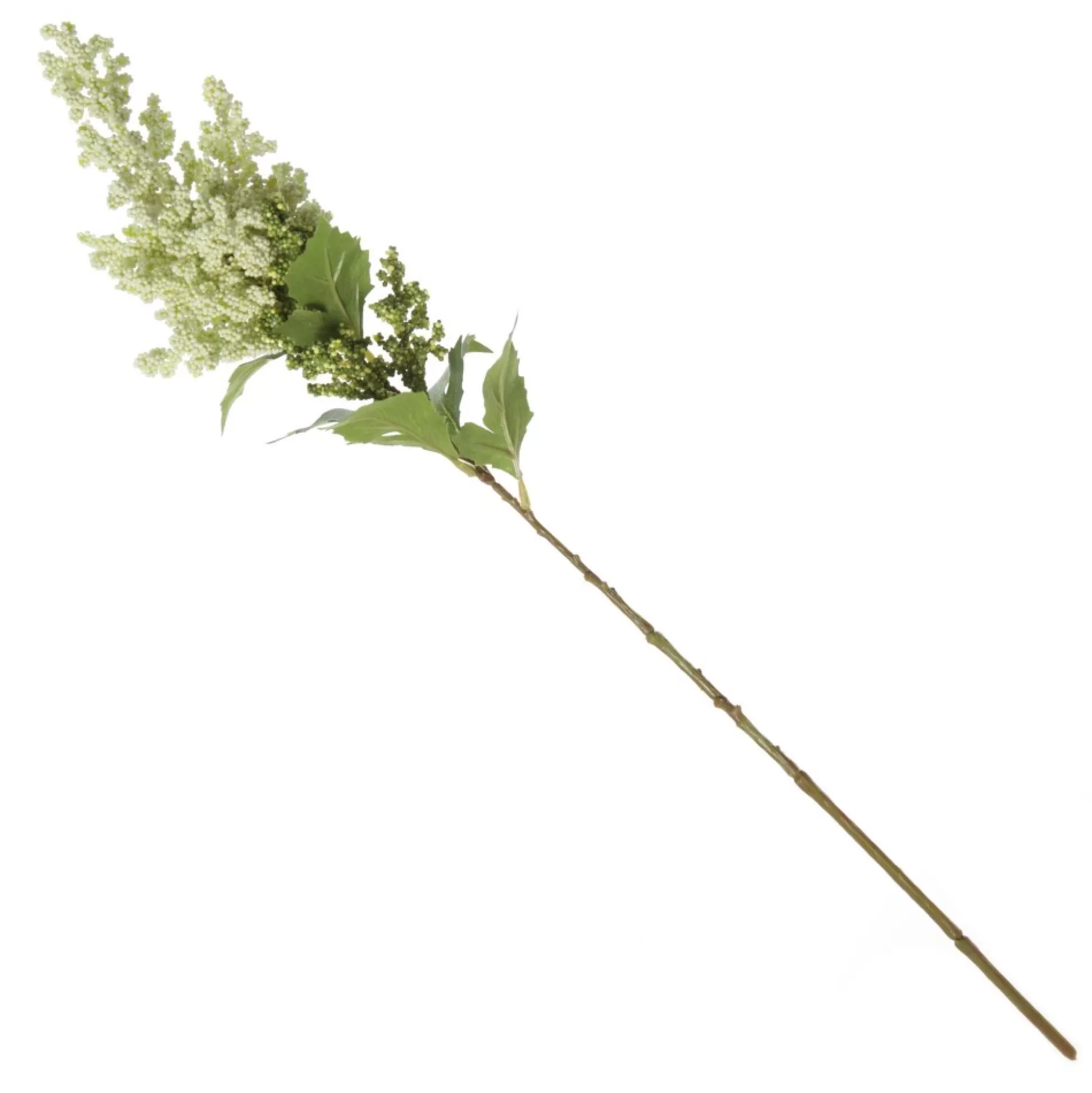 Mini Berry Native Bush Christmas White Berry Spray Christmas Sprays |