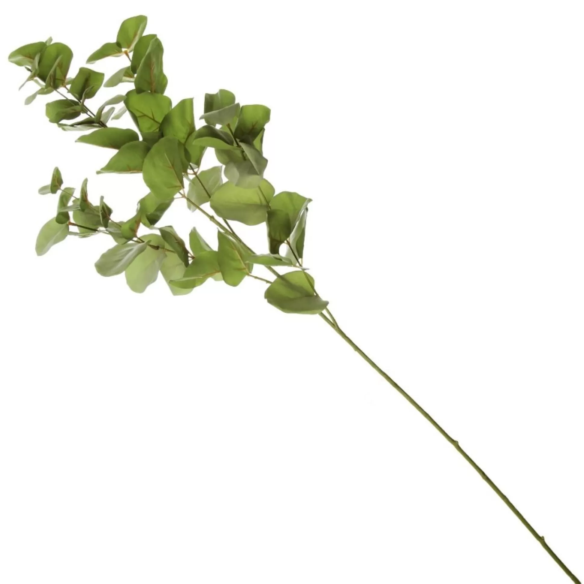 Native Eucalyptus Leaf Spray Christmas Sprays |