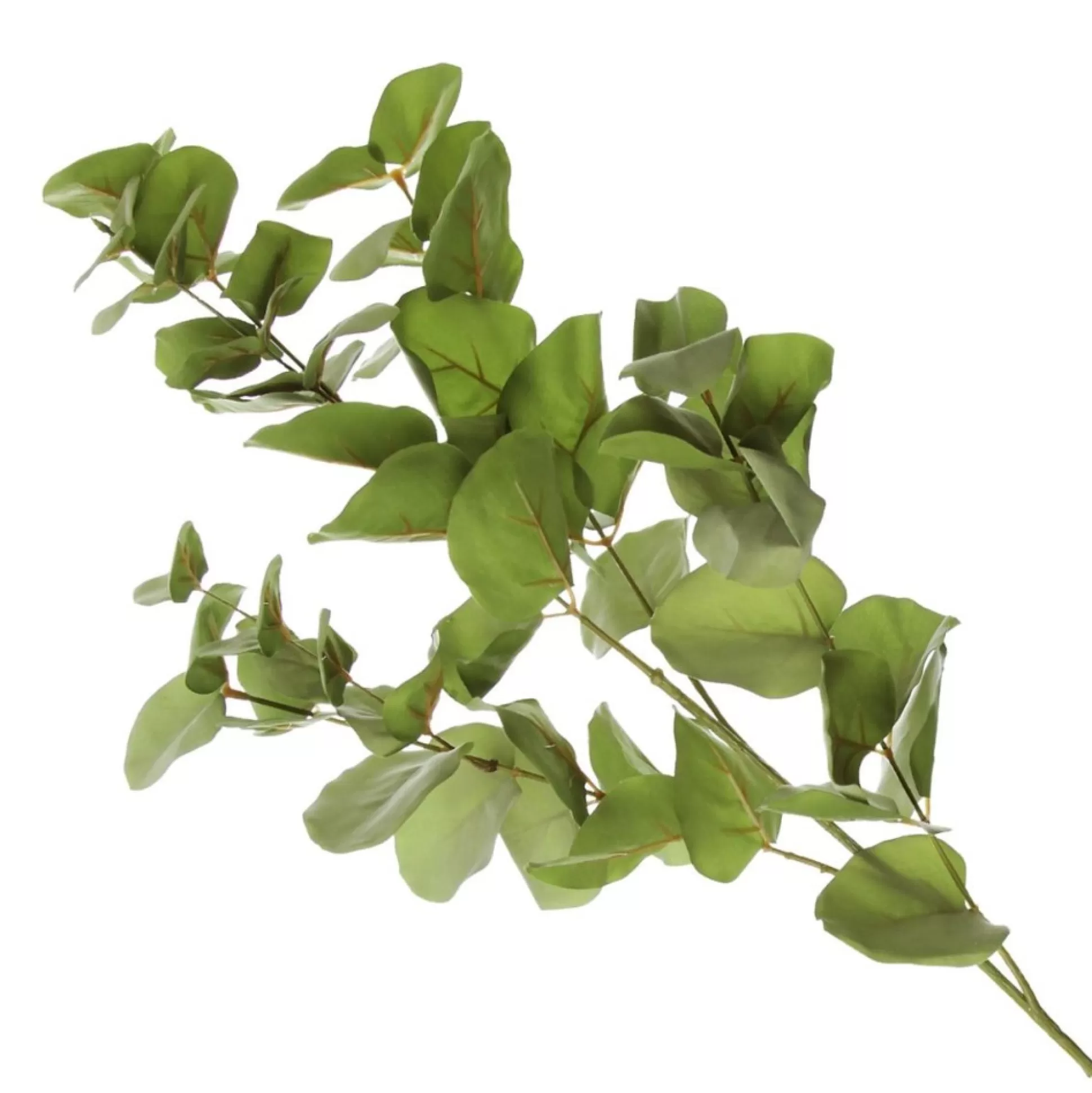 Native Eucalyptus Leaf Spray Christmas Sprays |