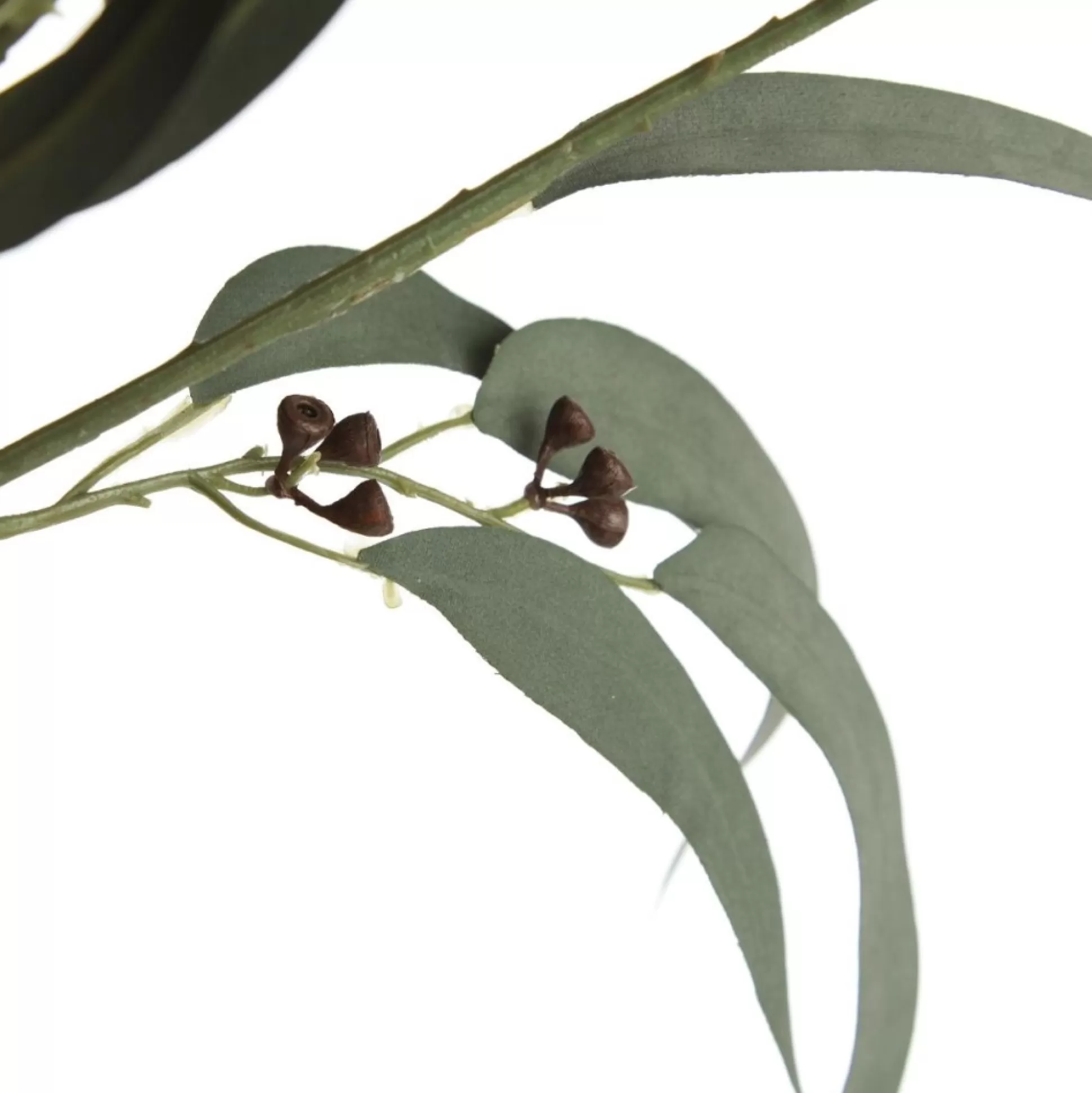 Native Eucalyptus Leaf Spray with Gumnuts Christmas Sprays |