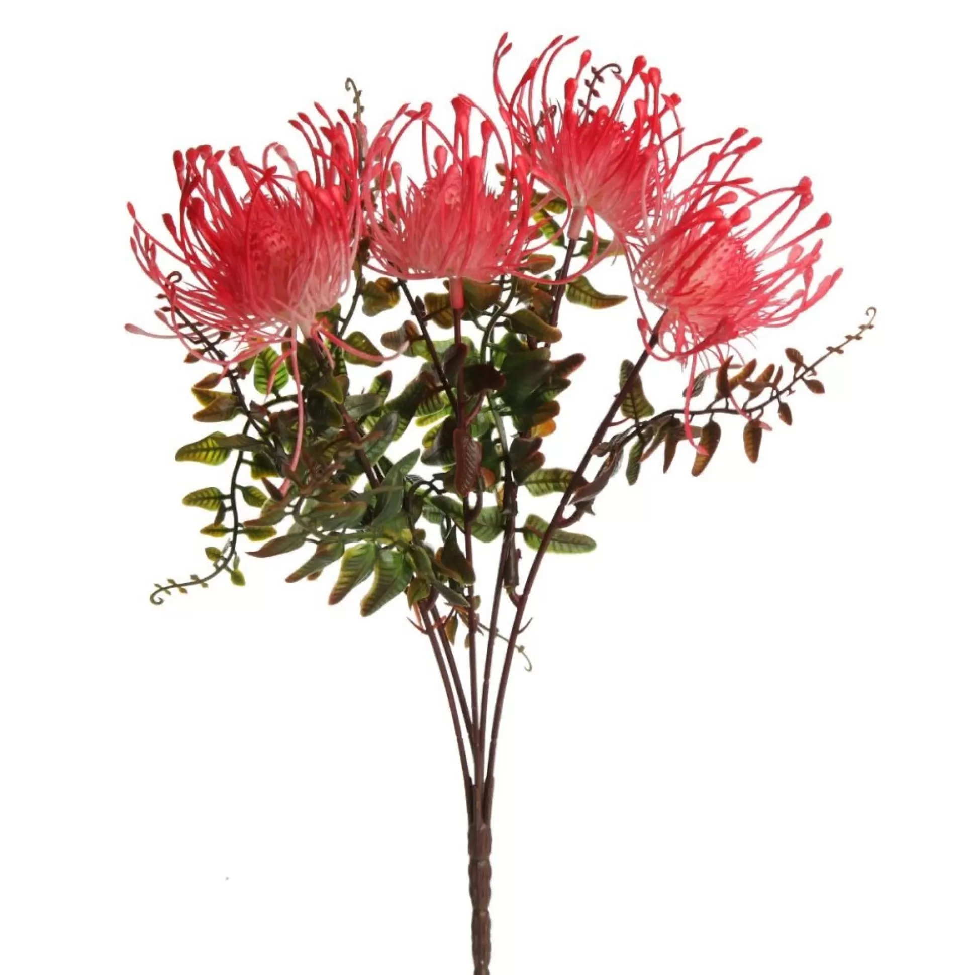 Native Red Pink Pincushion Protea Flower Spray Christmas Flowers |