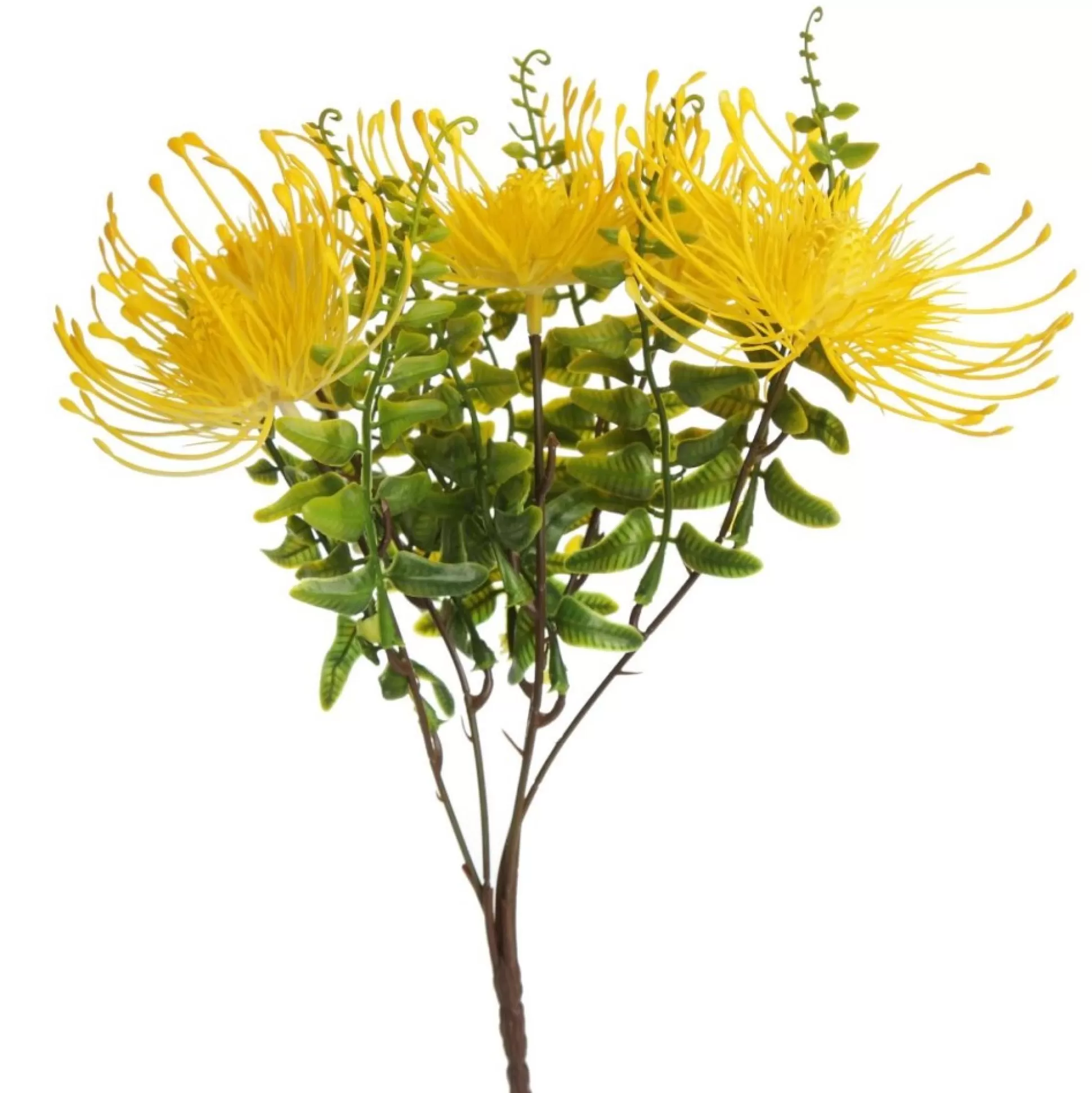 Native Yellow Pincushion Protea Flower Spray Christmas Flowers |