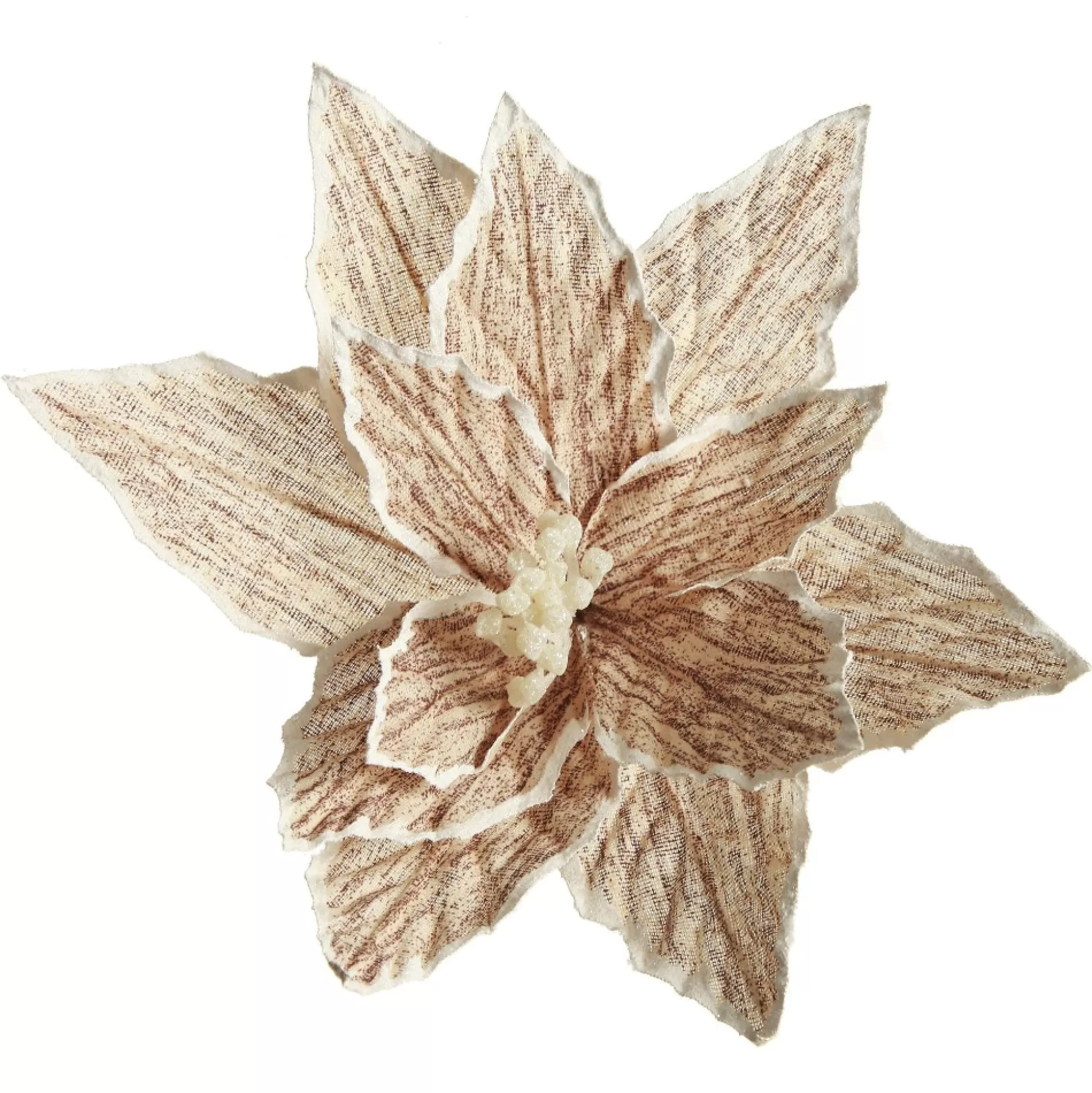 Natural Poinsettia Flower Clip with White Trim Christmas Flowers |