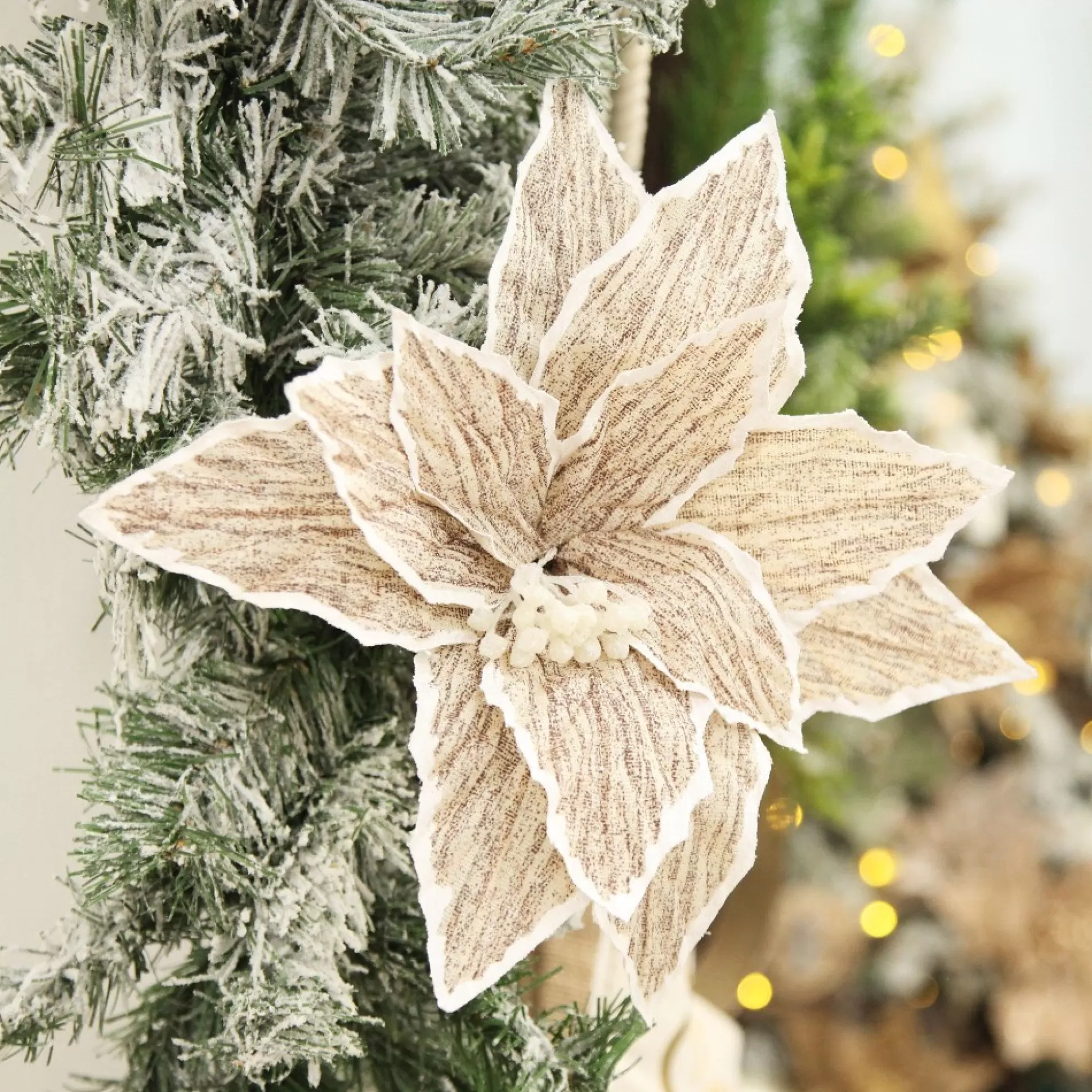 Natural Poinsettia Flower Clip with White Trim Christmas Flowers |