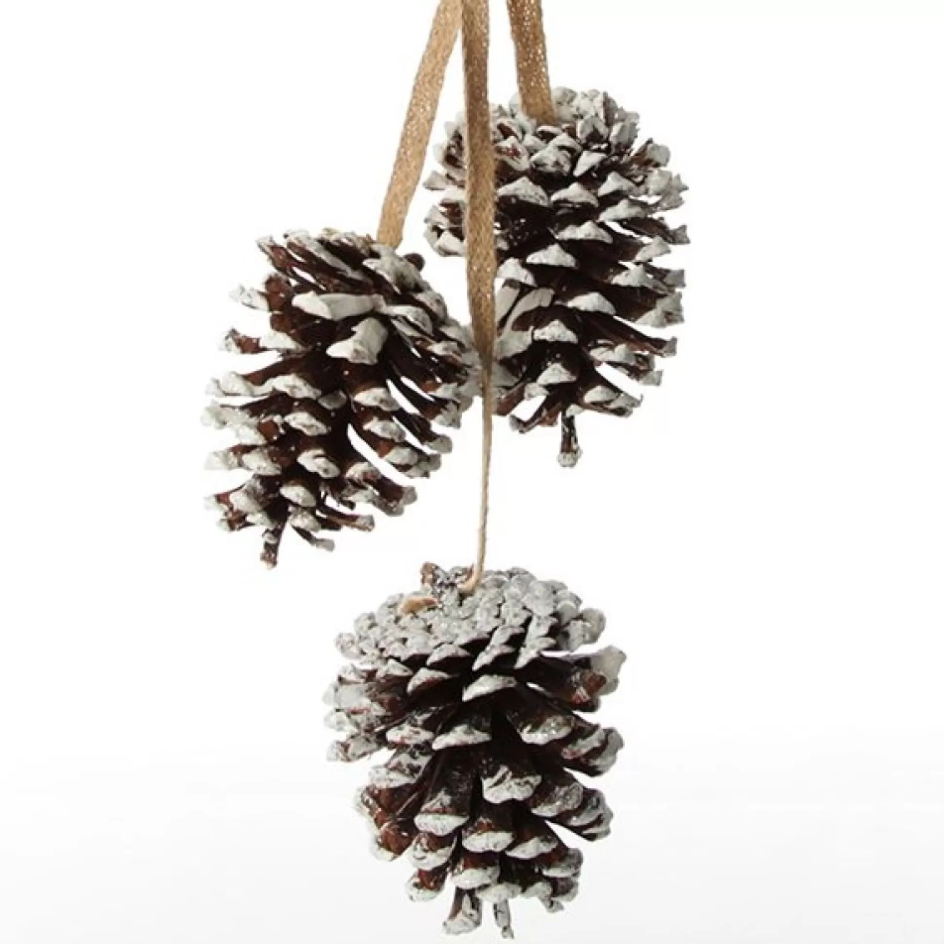 Natural Snow Tipped Pine Cone Drop Trio Pinecones And Acorns |