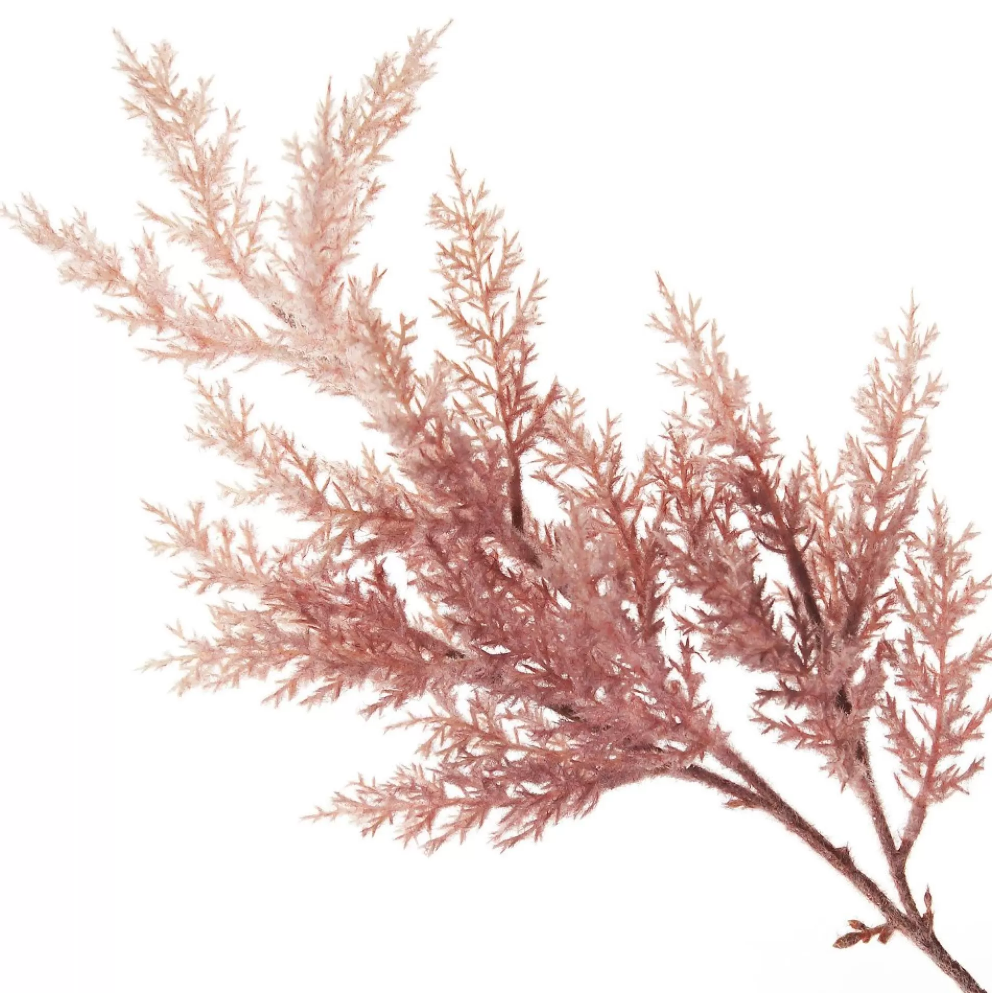 Pink Ombre Pampas Grass Spray Christmas Sprays |
