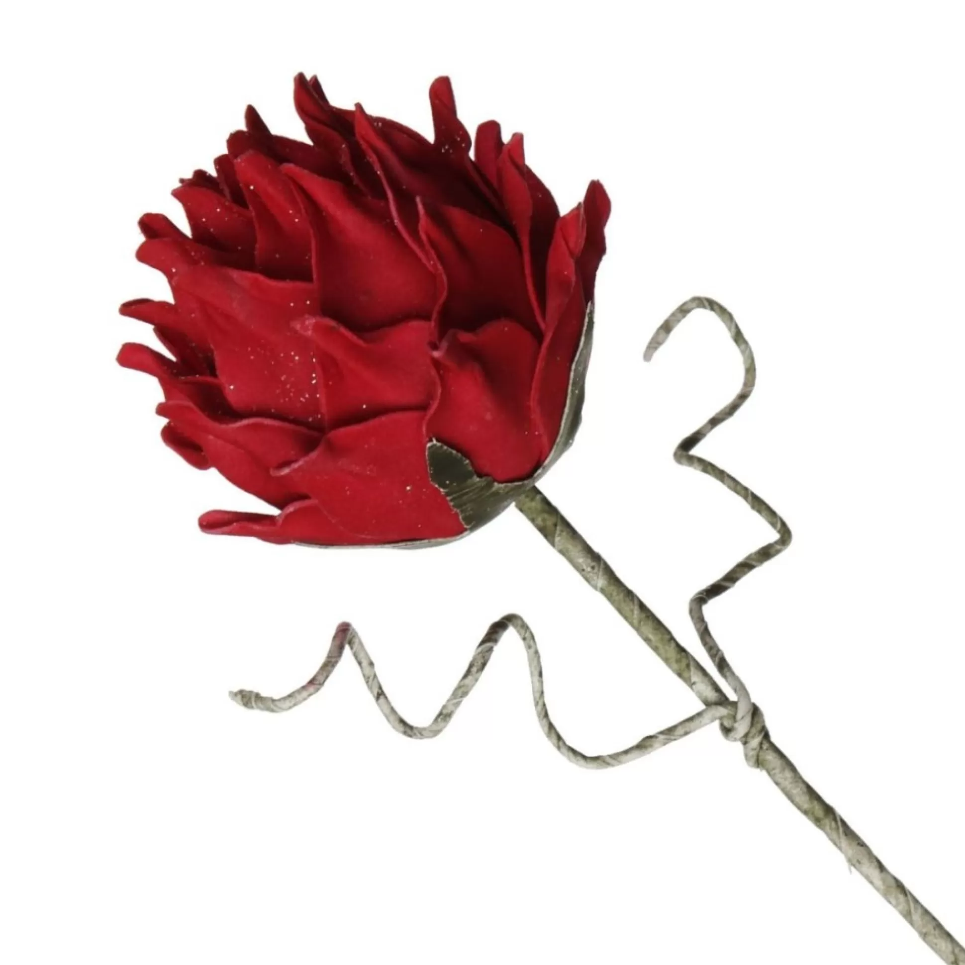 Red Ginger Lily Flower Stem Christmas Flowers |