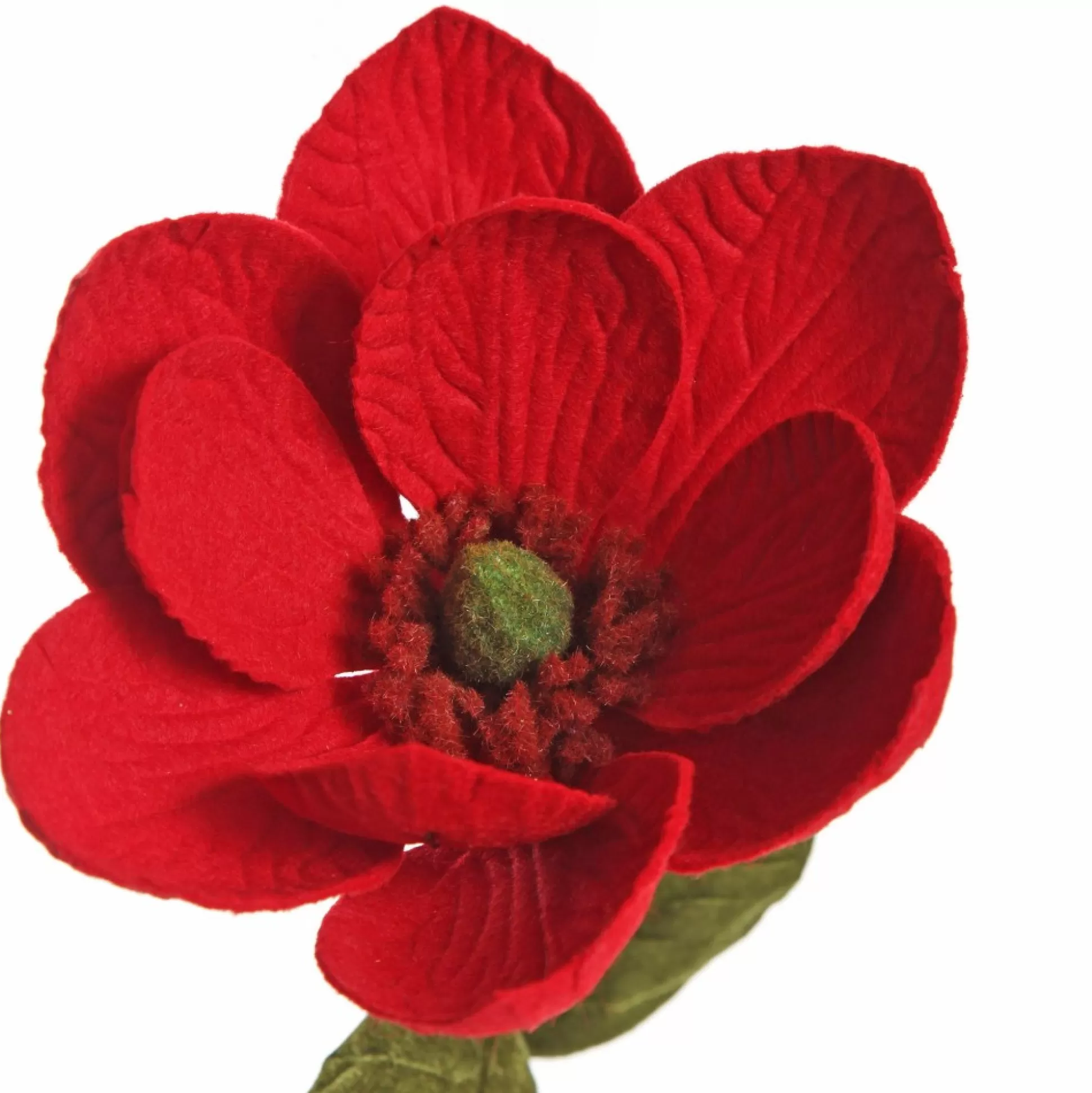 Red Magnolia Flower Stem Christmas Flowers |
