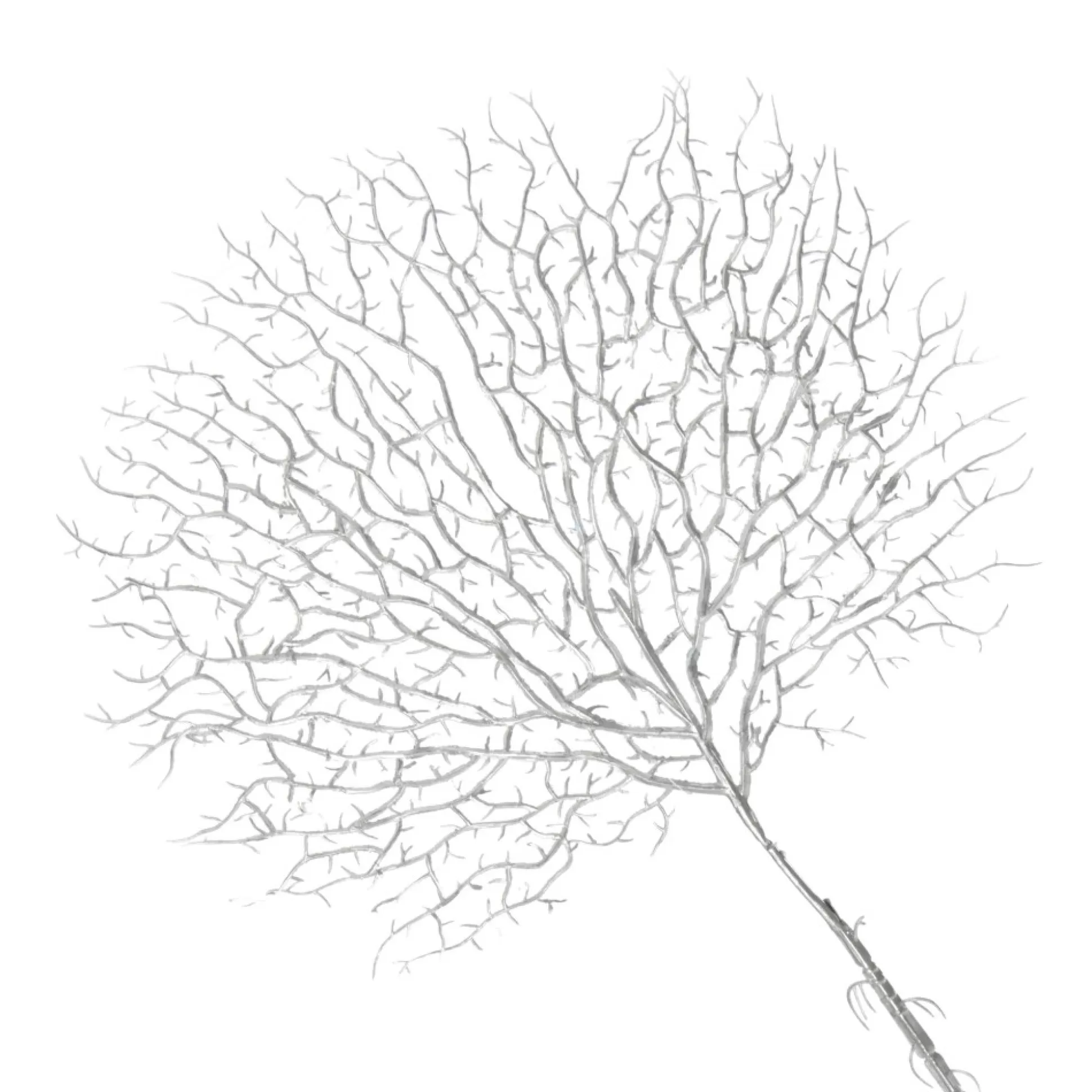 Silver Coral Fan Spray Christmas Sprays |