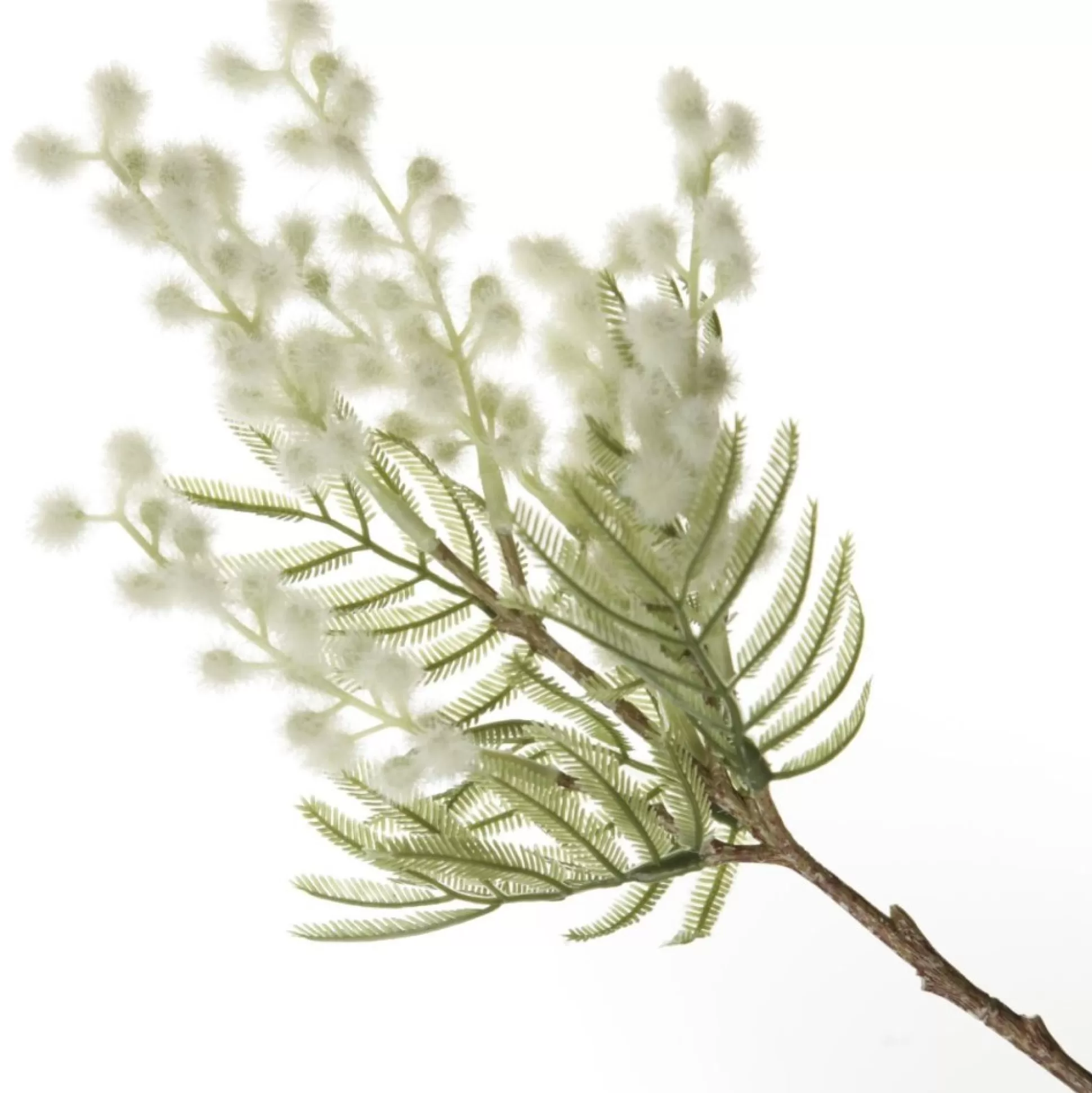 White Wattle Stem Spray Christmas Sprays |