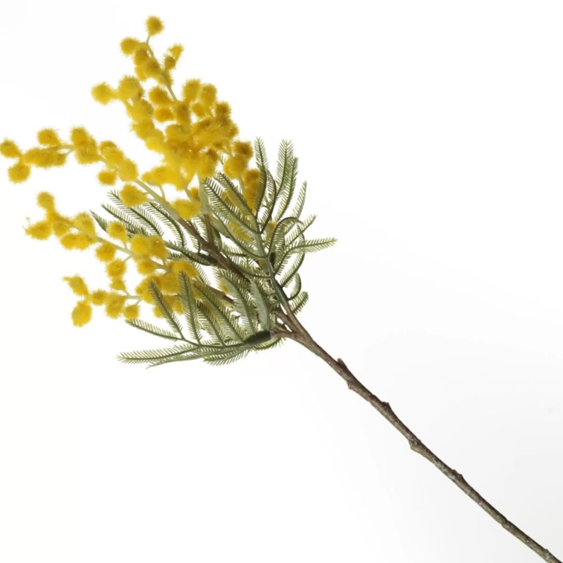 Yellow Wattle Stem Spray Christmas Sprays |
