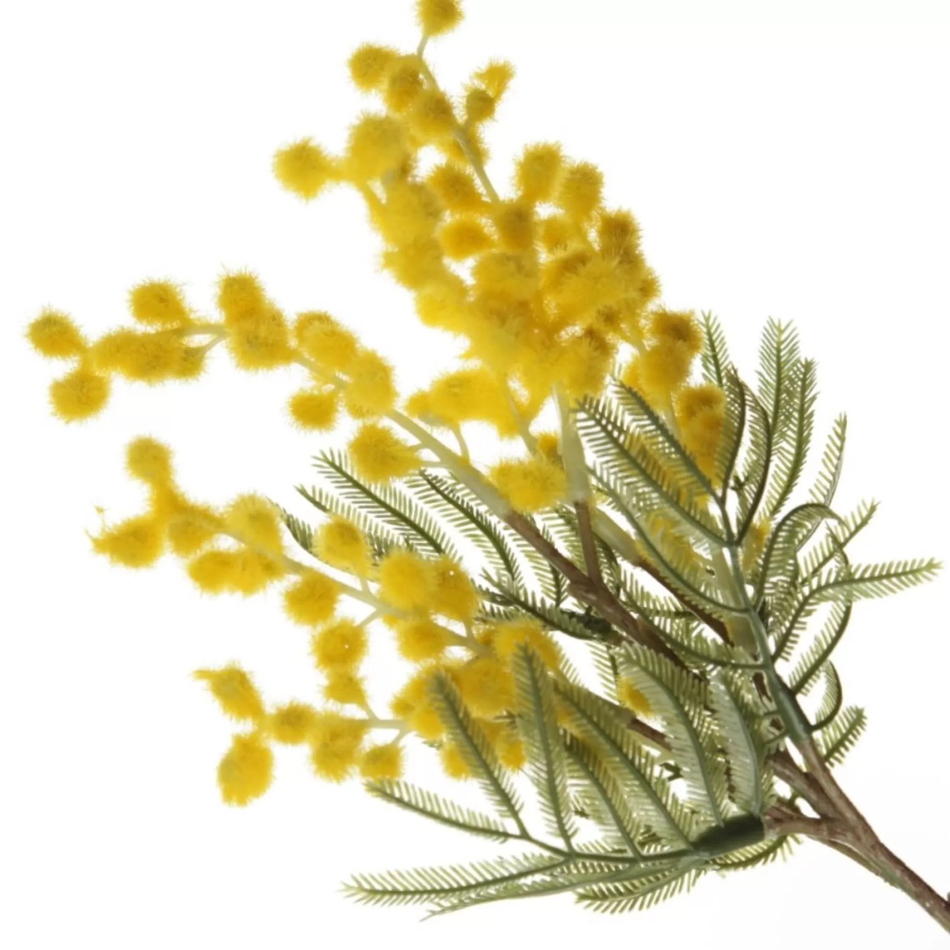 Yellow Wattle Stem Spray Christmas Sprays |